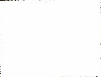 CPA Fantaisie Fleurs