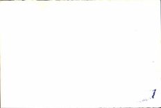 CPM Lisieux Prise de Voile