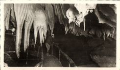CPM Les Grottes De Betharram Salle des Pieuvres