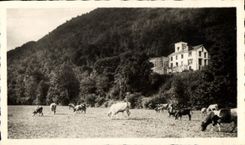 MODERN CARD the Caves De Betharram the Hall of Exit and the Restaurant of the caves