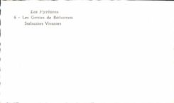 MODERN CARD the Caves De Betharram Alive Stalactites