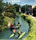 MODERN CARD Conche De Trigale