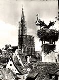 POSTAL MODERNA cigüeñas de Estrasburgo