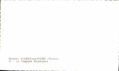 CPM Grottes D'Arcy Sur Cure La Coquille St Jacques