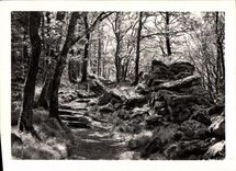 MODERN CARD Mount Sainte Odile the Wall Palen