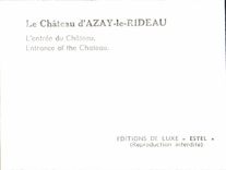 CPM Le Chateau d'Azay-le Rideau 