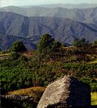MODERN CARD the Cevennes Collar of Espinas landscape and a sheep-fold with the roof of Roofing stones