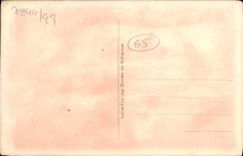 VINTAGE POSTCARD the Pyrenees Caves of Betharram Stalactites of the higher cave