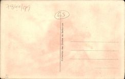 VINTAGE POSTCARD the Pyrenees Caves of Betharram Chaos