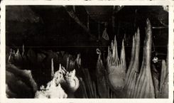 MODERN CARD the Pyrenees the Caves De Betharram the Room Of the Octopuses