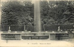 VINTAGE POSTCARD Park of Versailles Basin of the Domes