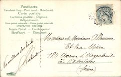 VINTAGE POSTCARD Fantasy Flowers Vine