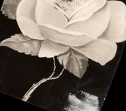 CPA Fantaisie Enfant dans une rose