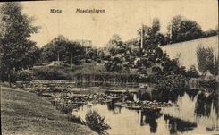 POSTAL Metz Moselanlagen de la VENDIMIA