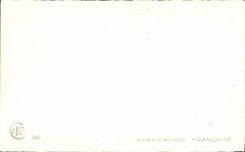 CPA Fantaisie Fleurs Bonne annee