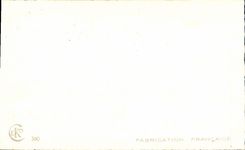 CPA Fantaisie Fleurs Trefles