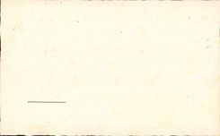 CPA Fantaisie Bonne annee