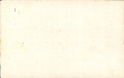 CPA Fantaisie Fleurs 