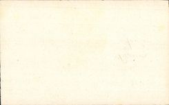 CPA Fantaisie Fleurs 