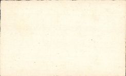 CPA Fantaisie Bonne annee