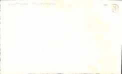 CPA Fantaisie Fleurs 