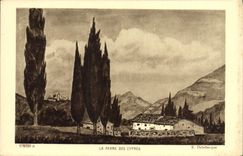VINTAGE POSTCARD the Farm Of the Cypresses