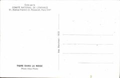 MODERN CARD Tiger In Snow