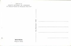 MODERN CARD Bullfinch Bird