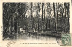 VINTAGE POSTCARD Paris the Bois de Boulogne In Fall Pond With the Hinds