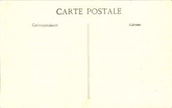 VINTAGE POSTCARD the Paris on July 14th Hairy Belgians In front of the Militaria Large palace