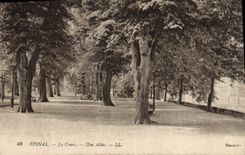 CPA Epinal Le Cours Une Allee