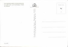 CPM Paysages Mediterranceens Au Petit Jour Sur Les Etangs chasse Au Canard