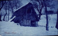 CPA Fantaisie Bonne annee