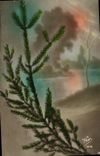 VINTAGE POSTCARD Fantasy Pine