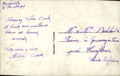 VINTAGE POSTCARD Fantasy Pine