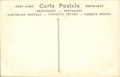 VINTAGE POSTCARD Delaunay Diane