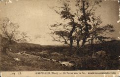 VINTAGE POSTCARD Harpignies a Torrent in the VAr Paris Museum of Luxembourg