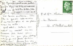 CPM Souvenir des Pyrenees Lourdes 