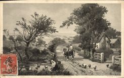 VINTAGE POSTCARD Fantasy Young Horse