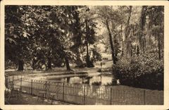 VINTAGE POSTCARD Vichy a Corner of the Parks of Allier