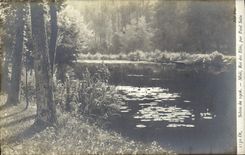 VINTAGE POSTCARD Fantasy Living room of 1906 Midday King of the summers by Healthy Paul