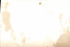 Photo Attelage Cheval Canon Militaria