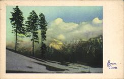 CPA Fantaisie Bonne annee