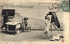 CPA Fantaisie Le chien photographe