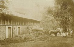 CARTE PHOTO Cuve attelage Cheval