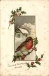 CPA Fantaisie Oiseau