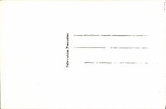 CPA Fantaisie Bonne annee Biche