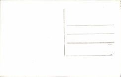 CPA Fantaisie Bonne annee