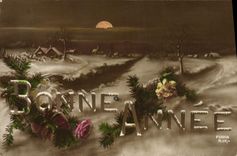 CPA Fantaisie Bonne annee