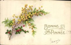 CPA Fantaisie Fleurs Bonne Annee